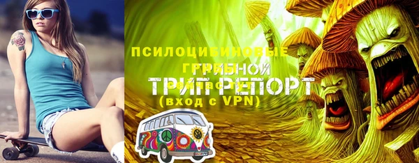 mdpv Армянск