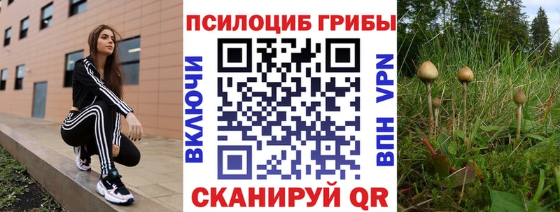 купить закладку  Верхнеуральск  Галлюциногенные грибы Psilocybe 